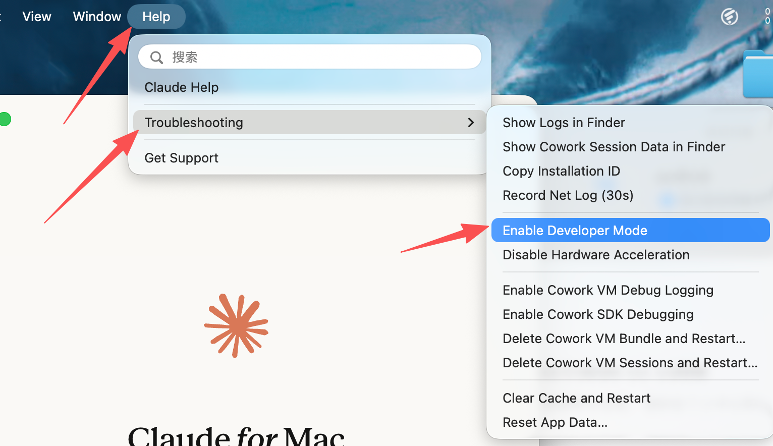 MacOS 启用 Developer Mode 截图